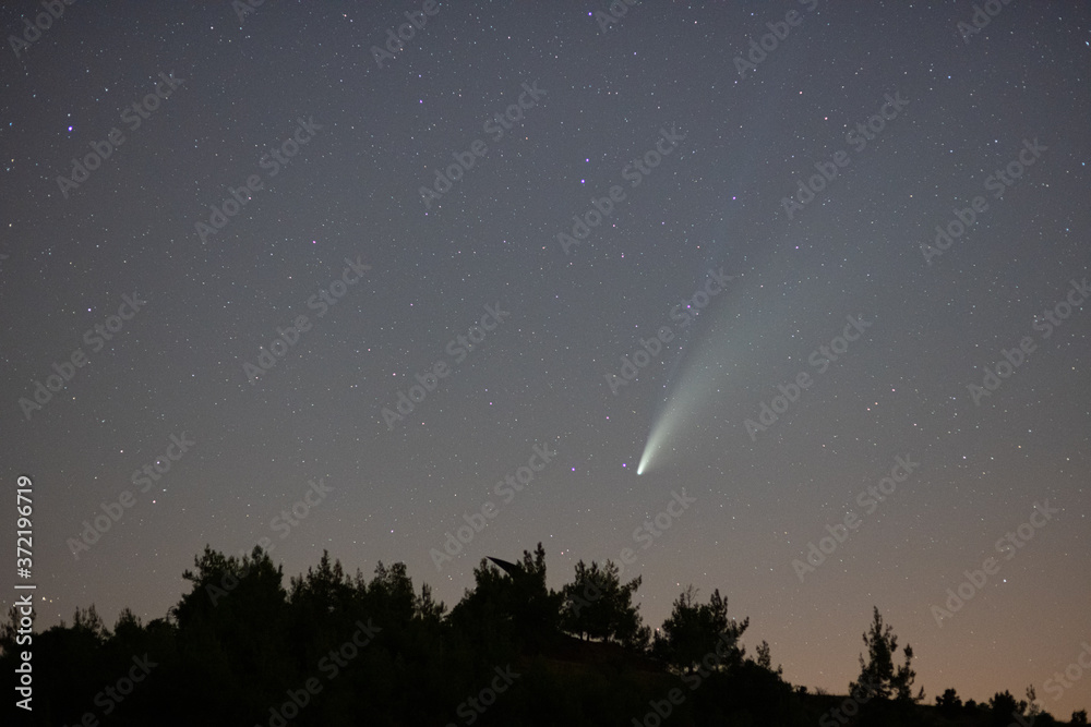 Comet Neowise in the starry night sky.