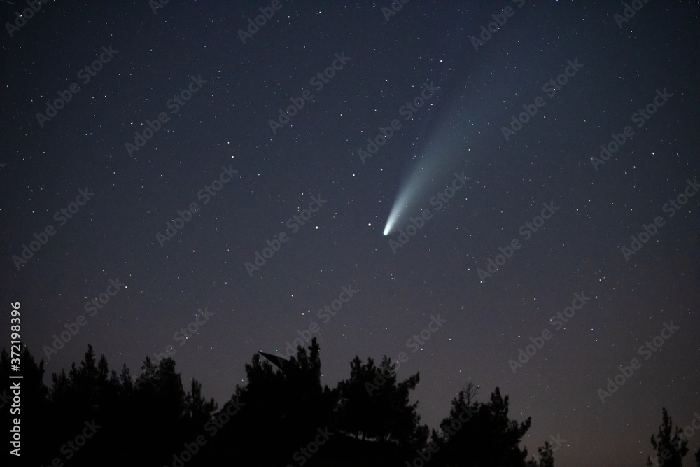 Fototapeta premium Comet Neowise in the starry night sky.