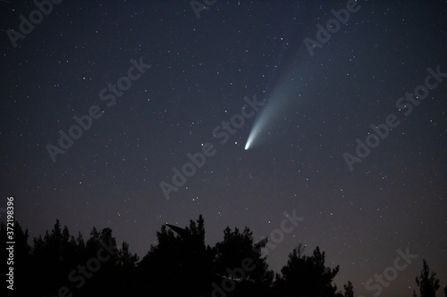 Comet Neowise in the starry night sky.