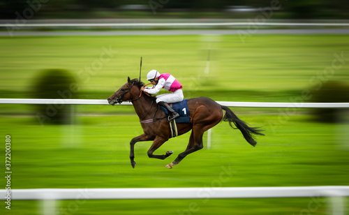 Fototapeta Naklejka Na Ścianę i Meble -  Jockey during horse race on his horse going towards finish line. Traditional European sport.
