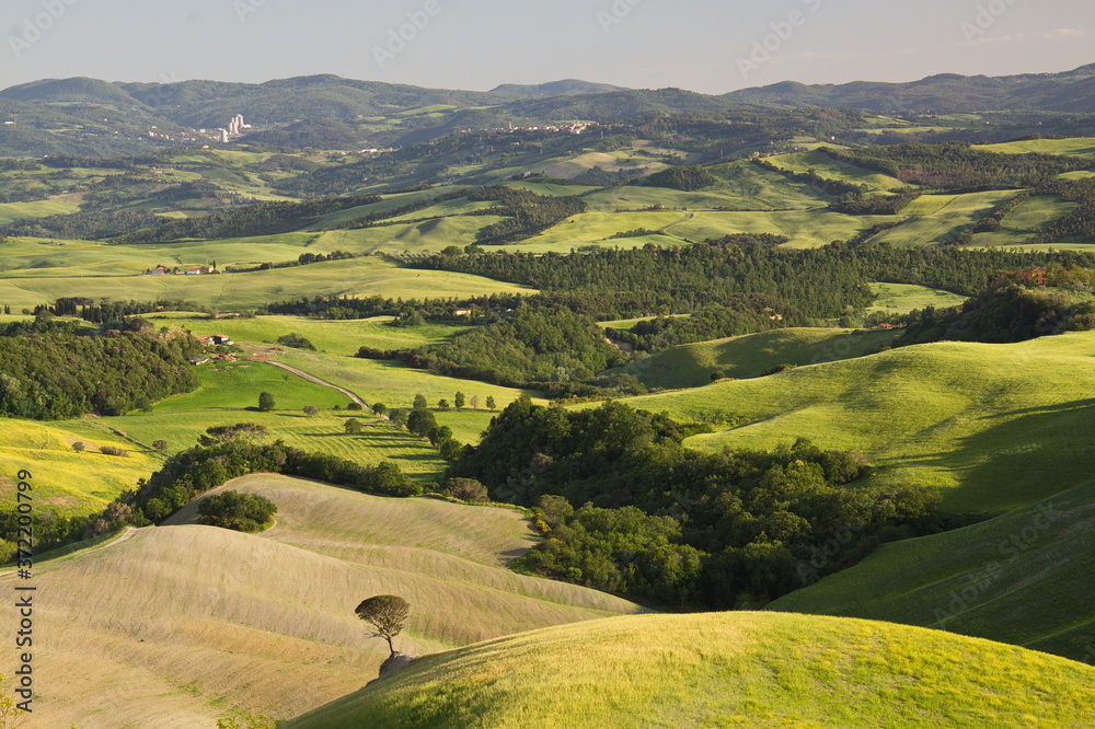 Landscape near Volterra, Province of Siena, Tuscany, Italy, Europe
