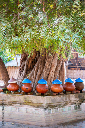 Drinking water jars near a tree in Gubyaukgyi temple, Bagan, Burma, Myanmar