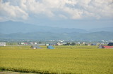 北海道の農業