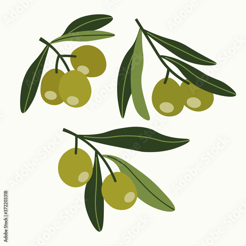Vector illustration of olives branches set on a beige background.