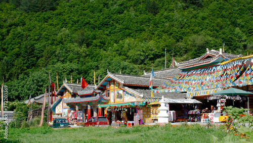 Tibetan stockade village on the green background