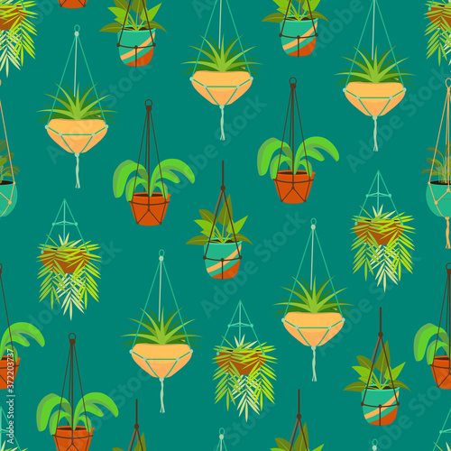 Cartoon Color Macrame Hangers for Home Plants Seamless Pattern Background. Vector