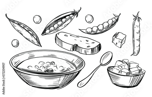 Vegetable pea soup. Hand drawn illustration converted to vector