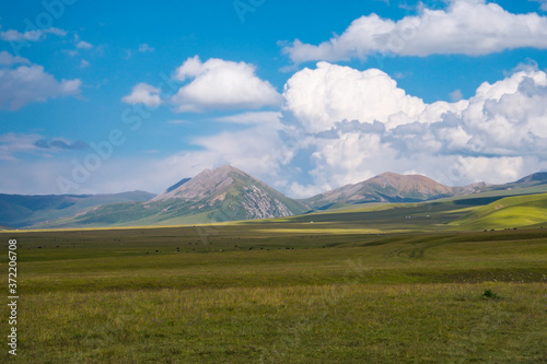 Beautiful green mountain valley with blue cloudy sky on background. Spring farm field landscape. Outdoor landscape. Summer nature landscape. Rural scenery. Shalkode valley, Kazakhstan.
