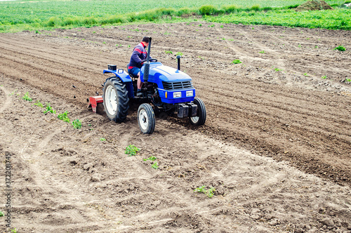 Farmer on a tractor loosens soil with milling machine. Plowing field. First stage of preparing soil for planting. Loosening surface, land cultivation. Use agricultural machinery. Farming, agriculture.