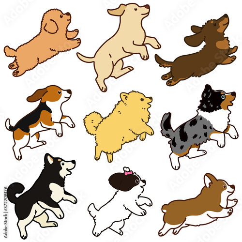 Set of outlined cute and simple dog jumping and playing