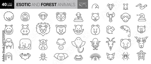 Fototapeta Naklejka Na Ścianę i Meble -  Wild Animals Icons Pack. Thin line creature icons set. Flaticon collection set. Simple vector icons