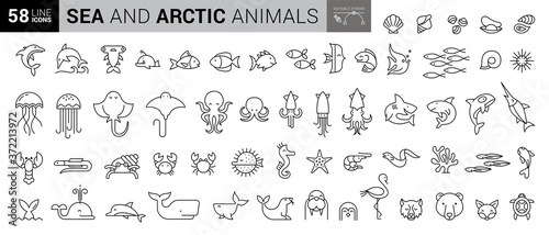 Sea creatures line icon set. Set of line icons on white background. Maritime concept. Shell, turtle, fish, whale. Vector illustration can be used for topics like sea, ocean