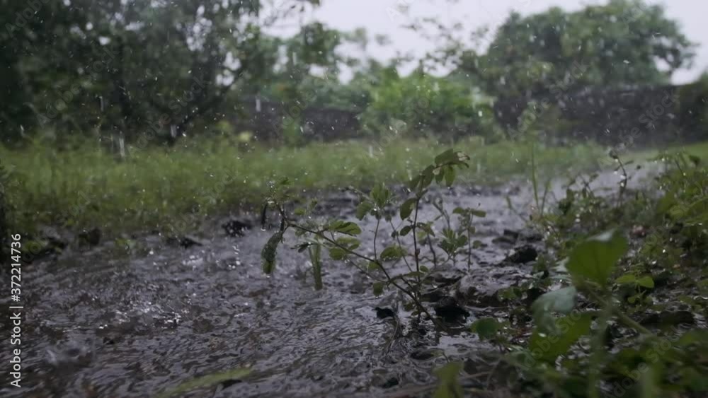 Heavy monsoon rain pouring into small puddle in garden slow motion Heavy monsoon rain pouring into small puddle in garden slow motion