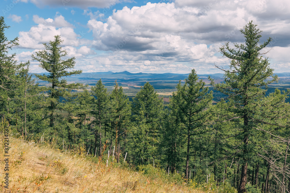 Panoramic landscape of taiga forest and a low mountain or hill. Forests of the Urals and Siberia in Russia Panoramic landscape of taiga forest and a low mountain or hill. Forests of the Urals and Siberia in Russia
