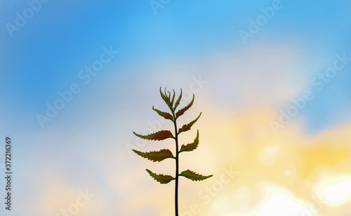 Green leaves isolated on sky background for wallpaper. © NadimMahmudHimu
