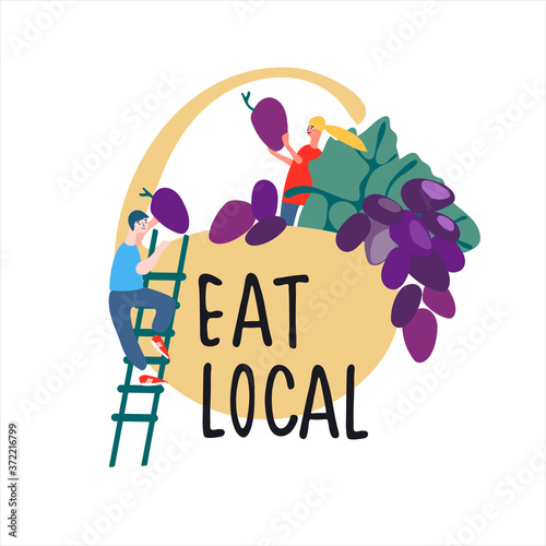 Eat local food concept. Pick-your-own concept. Fresh fruit concept. People picking grapes vector illustration in abstract flat style. Hand lettering