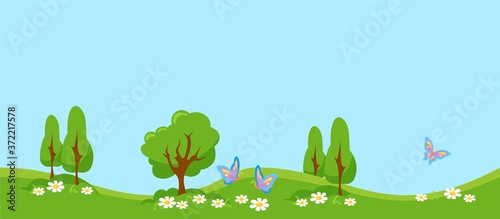 Green meadow with butterflies. Summer landscape with young trees and foliage white daisies colorful insects beautiful rainbow wings flutter over flowers lush blooming vector pasture.