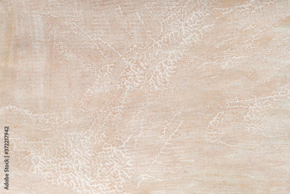 Fototapeta premium beige painted background texture