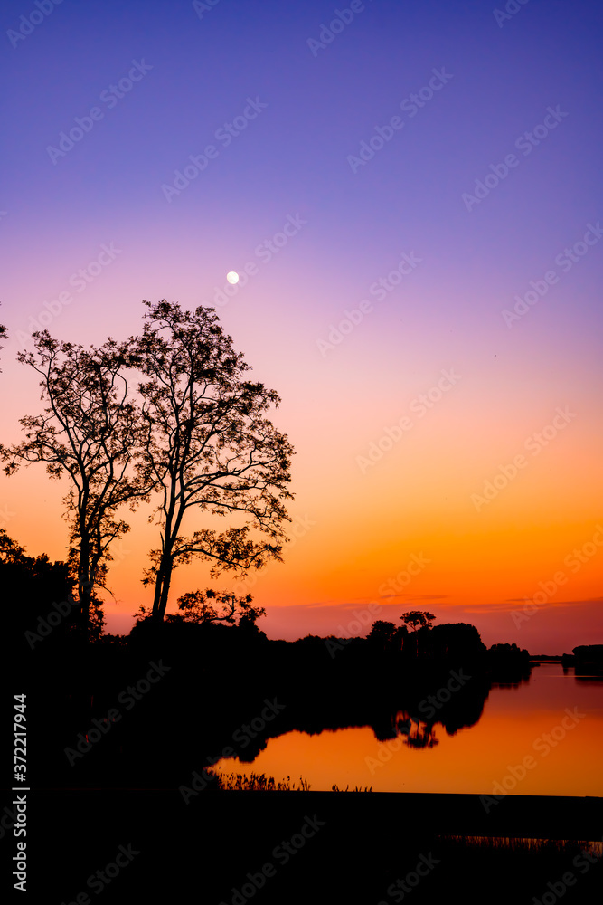 Beautiful summer sunset at the lake with gradient sky, silhuette of trees, moon and water with reflection. Beautiful summer sunset at the lake with gradient sky, silhuette of trees, moon and water with reflection.