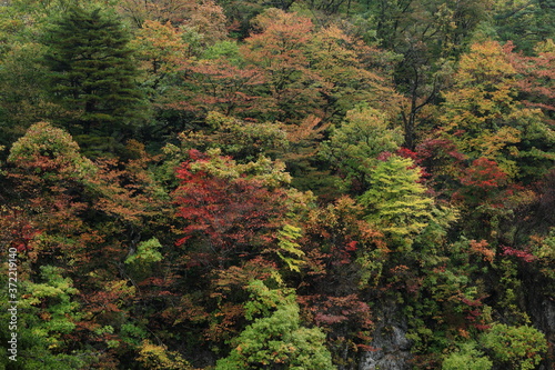 紅葉の梵字川渓谷