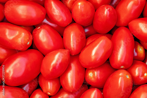 red plum tomatoes, Italian piccadilly tomato background © Leka
