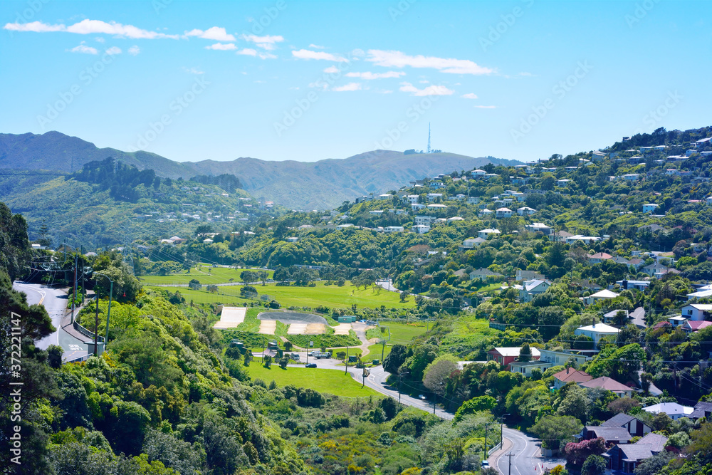 Green valley surrounded by slopes covered with cosy suburbuan houses in Wellington, New Zealand.
