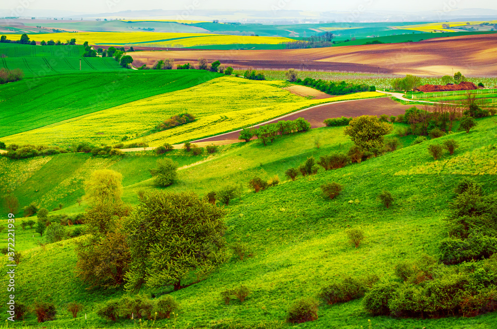 Naklejka premium Rural spring landscape