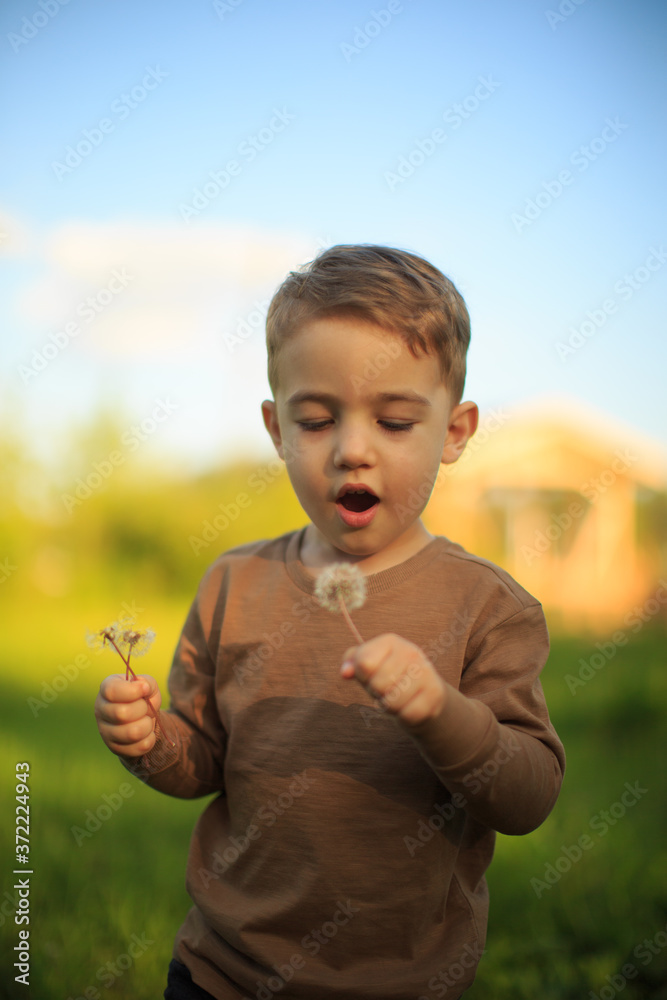 Portrait of cute baby boy blowing on a dandelion. Summertime photography for ad or blog about childhood Portrait of cute baby boy blowing on a dandelion. Summertime photography for ad or blog about childhood