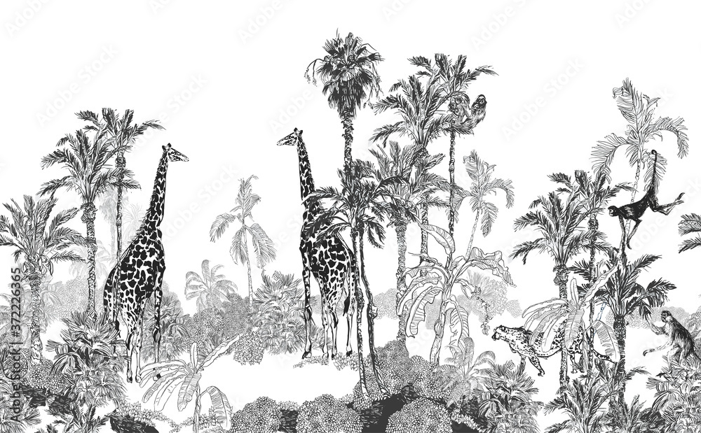 custom made wallpaper toronto digitalSeamless Border Wildlife in Tropics Toile, Engraving Drawing Exotic Palms and Giraffes, Monkeys, Cheetah Black and white on White Background