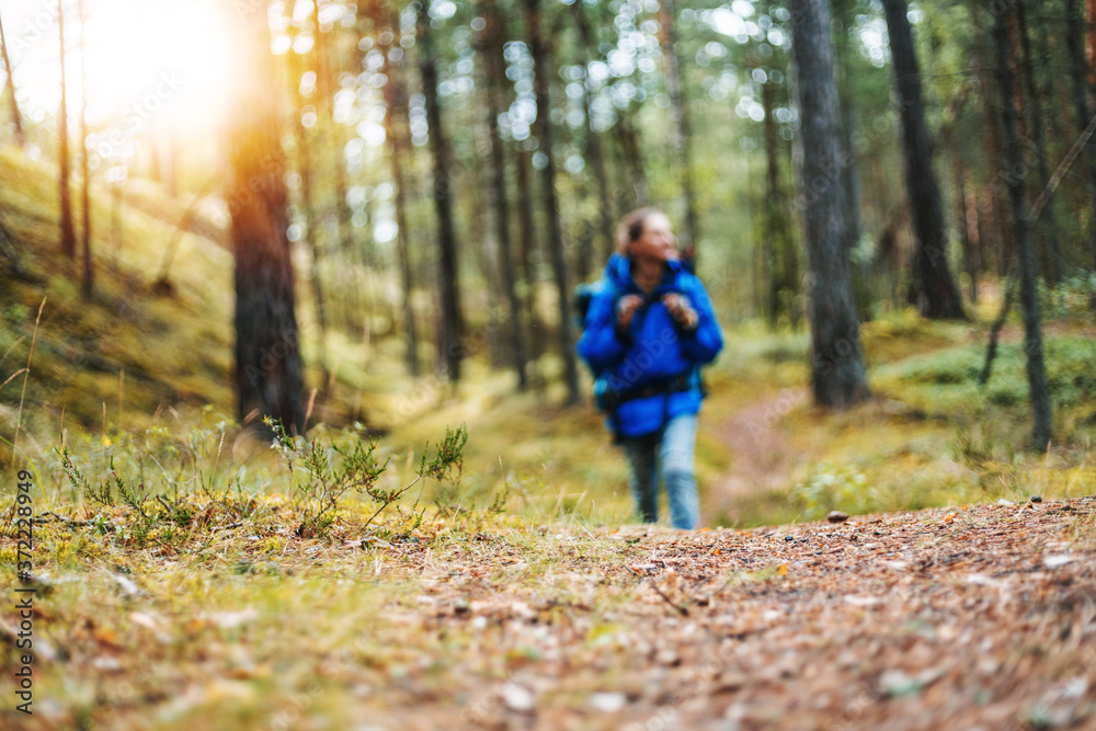 Obraz premium Wild tourism and adventure in real nature concept, blurred figure of woman traveler with big backpack in pine forest.