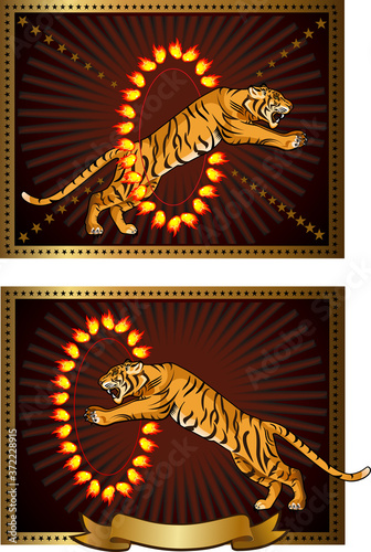 Tiger Leap