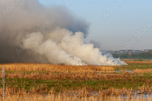 picturesque view of smoke on peat field - fire nature