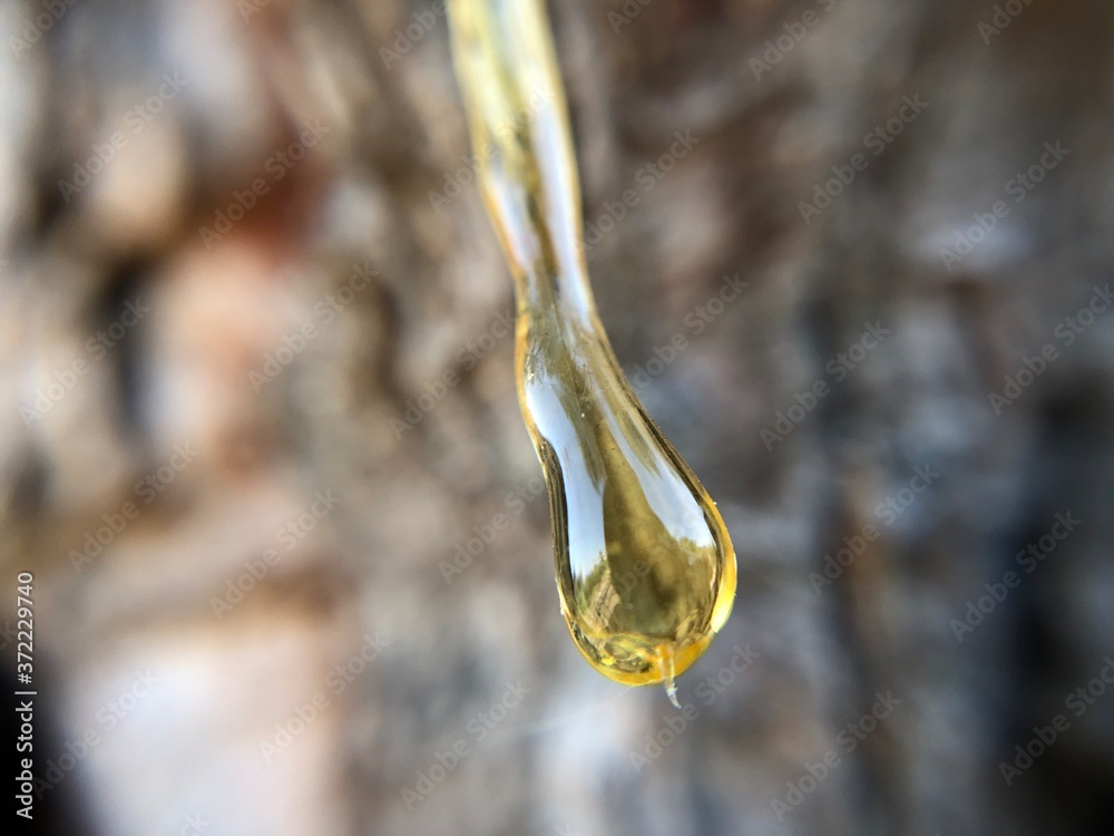 drop of water