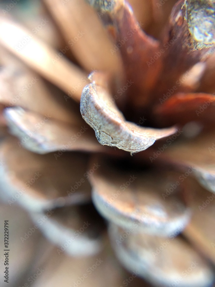 close up of a fork