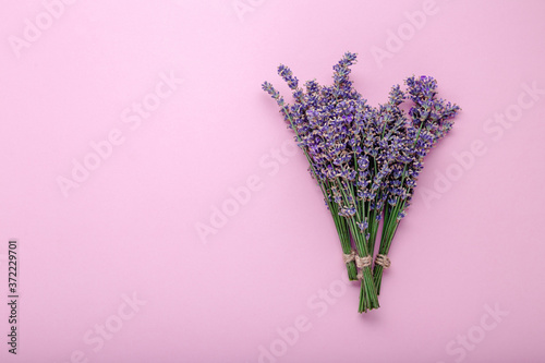 Fresh lavender flower bouquet on color background with copy space. Place for text. Flatlay purple herbal flower blossom. Lavender aromatherapy. Pink background