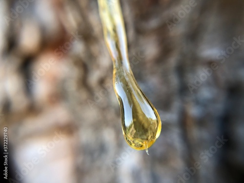 drop of water