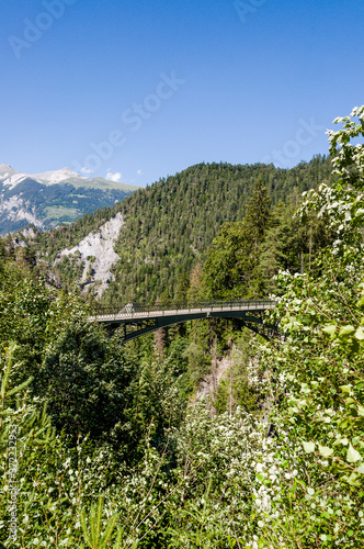 Rheinschlucht, Rhein, Ruinaulta, Fluss, Schlucht, Ilanz, Reichenau, Vorderrhein, Flussbett, Surselva, Wanderweg, Bergstrasse, Graubünden, Sommer, Alpen, Schweiz photo