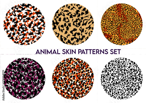 set of animal print vector patterns	
