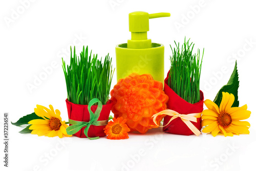 Spa beauty concept with soap, plastic bottle, grass with ribbon, flowers and green leaves isolated on white background.