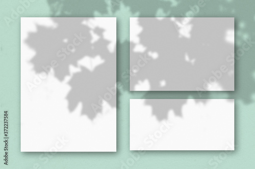 Several horizontal and vertical sheets of white textured paper on the background of a light green wall. Natural light casts shadows from an exotic plant. Flat lay, top view
