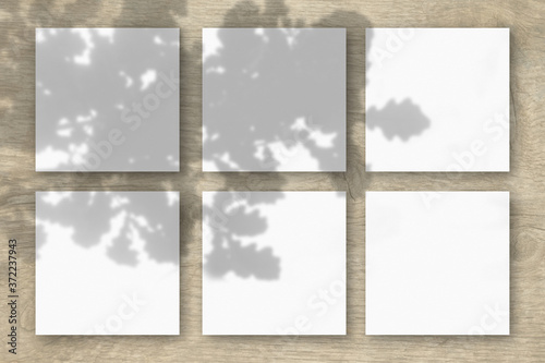 6 square sheets of white textured paper on the wooden table background. Mockup overlay with the plant shadows. Natural light casts shadows from the oak leaves. Flat lay, top view