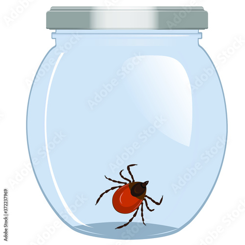 Caught mite in the jar. Locked the mite in the vessel. Vector illustration