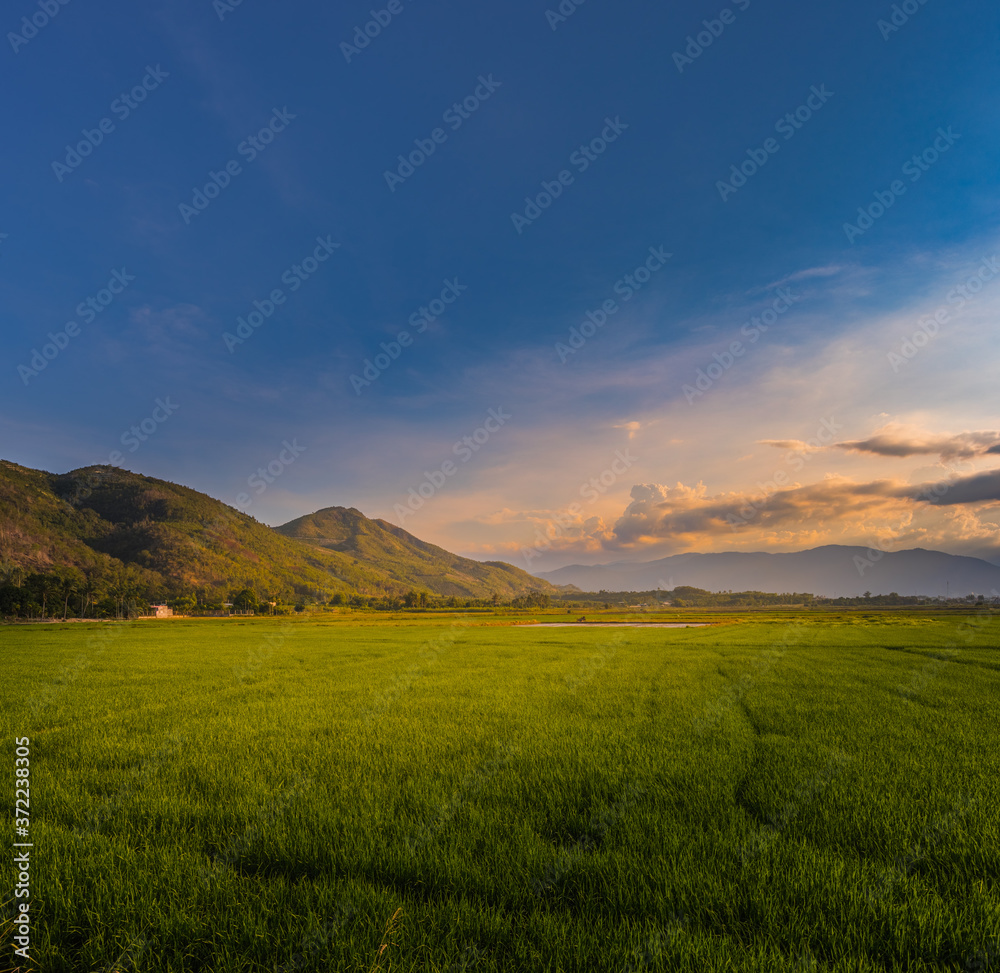 Obraz premium Beautiful landscape view of rice field and mountains. Panorama