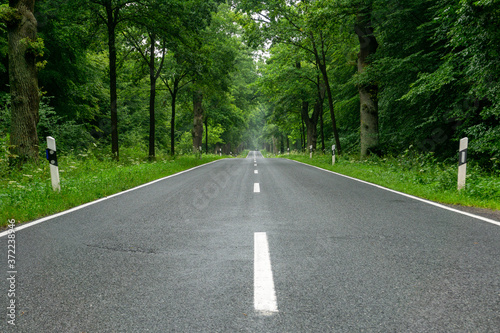 empty blacktop two-lane road in deep lush green forest with copy space