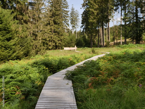 Hochmoor - Nationalpark Hunsrück Hochwald