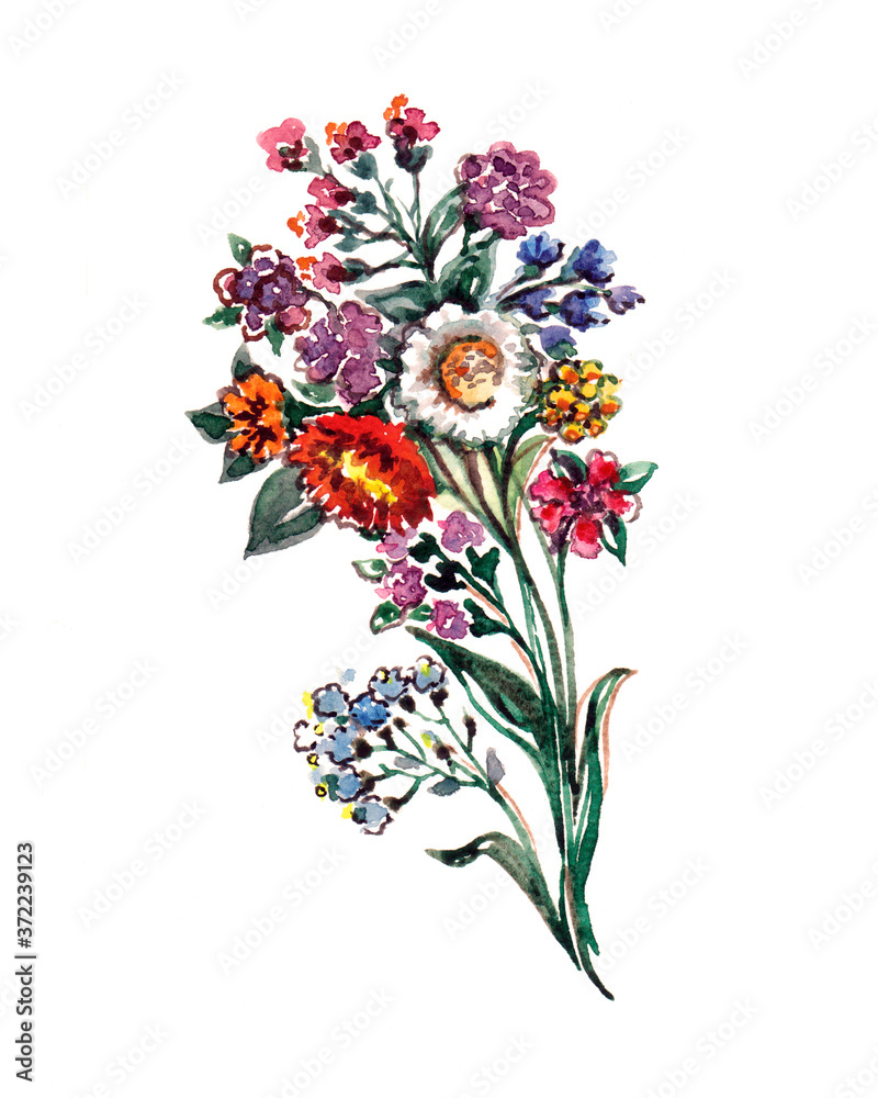 Fototapeta premium Beautiful floral illustration. Bouquet on white background. Field of flowers.