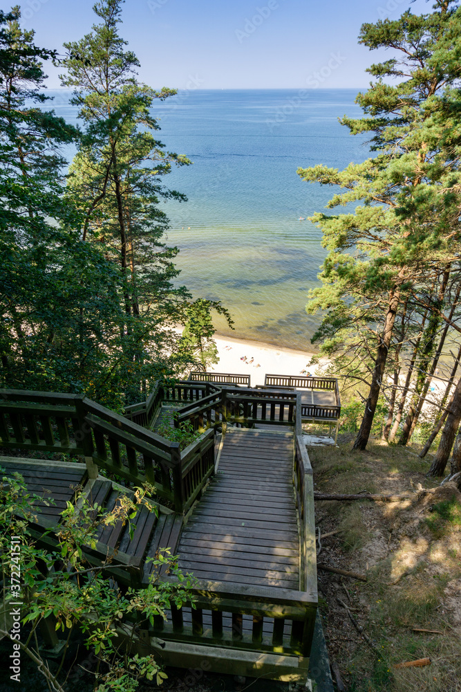 Fototapeta premium stairs leading to the beach and Baltic Sea from the Kaffeeberg mountain in Wolinski National Park