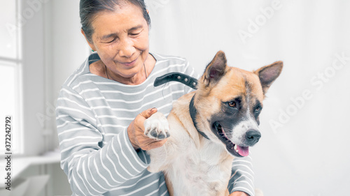 a senior playing with dog in smiling face, white background copy space