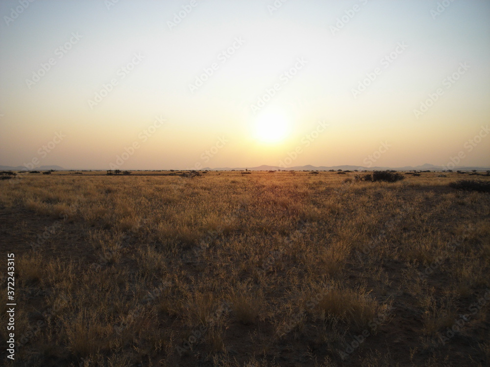 Sunset on the african meadow