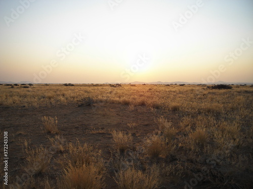 Sunset on the african meadow